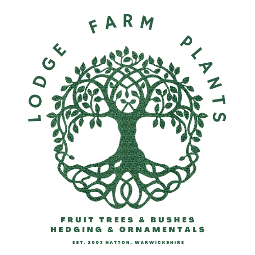 Lodge Farm Plants Logo